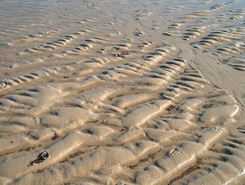 Sushi Burritos with a Latin Twist